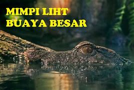 Arti Mimpi Melihat Buaya Mati