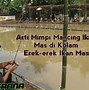 Mimpi Dapat Ikan Mas Koki